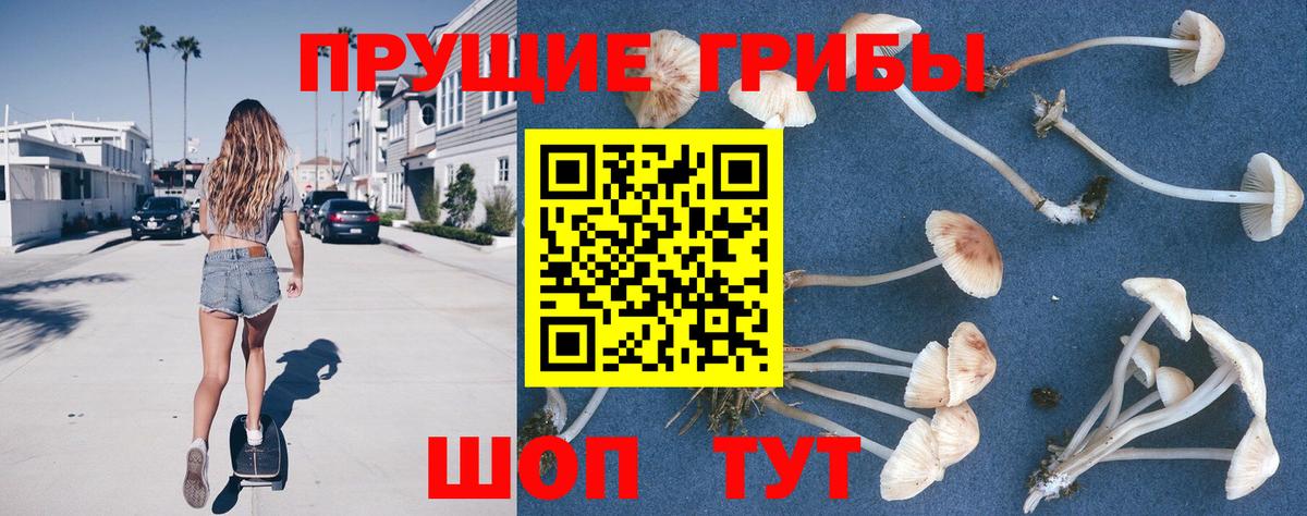 Галлюциногенные грибы ЛСД  цены   Ярославль  Вход с VPN 