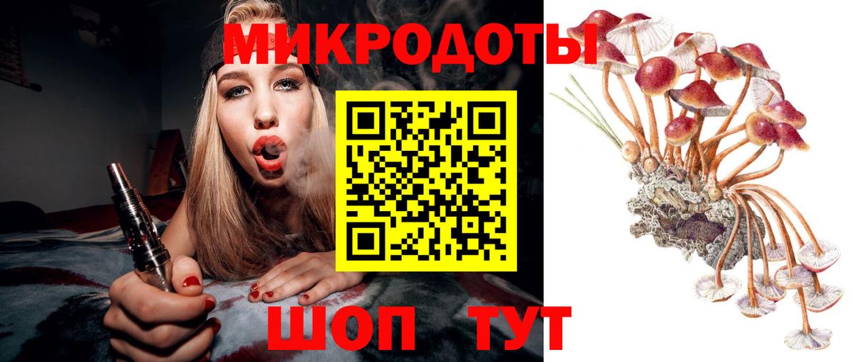 Галлюциногенные грибы Psilocybine cubensis Ярославль